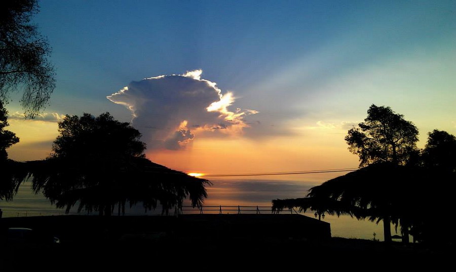  Pogled iz taverne Oasis 